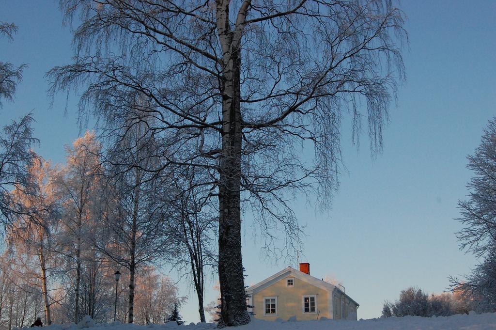 Brunnsgarden Bed & Breakfast Skellefteå Esterno foto
