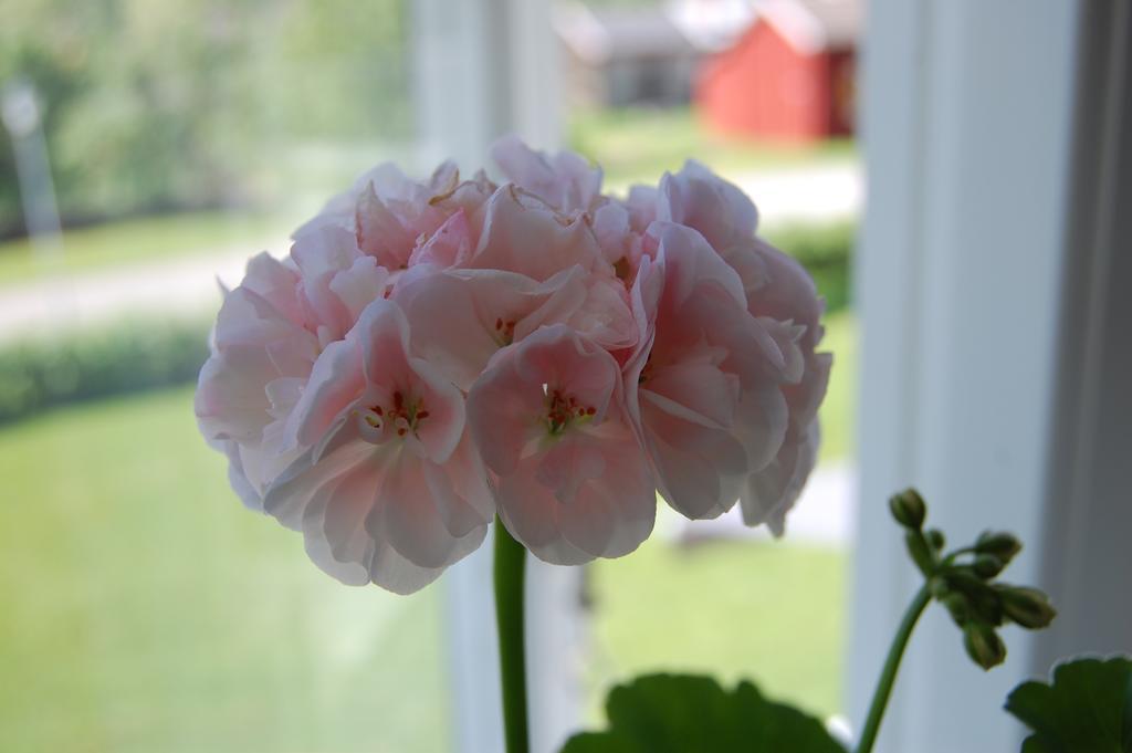 Brunnsgarden Bed & Breakfast Skellefteå Esterno foto